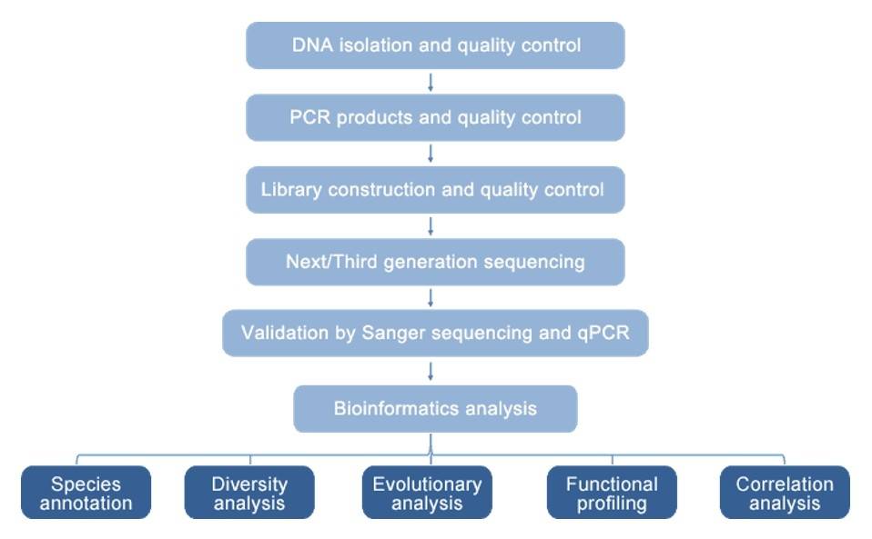 The Workflow of Antibiotic Resistance Genes (ARGs) Analysis Solution.